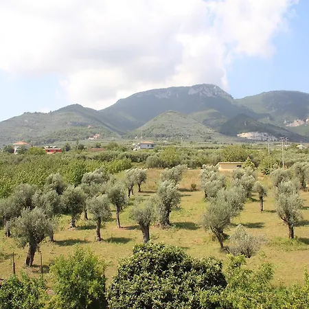 Villa Sofia B&B